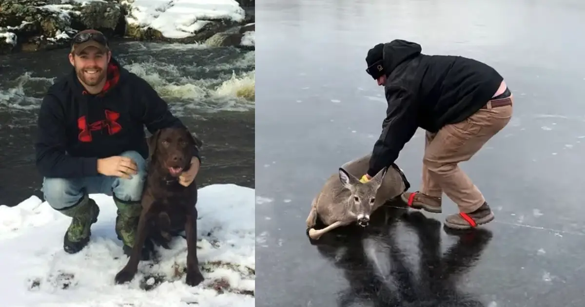 rescue doe stuck on ice